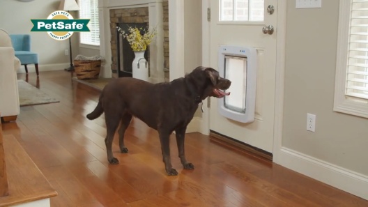 PetSafe Connected Smart Dog Door, White