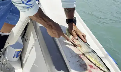 Awesome fishing trip