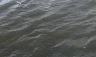 Venice Report Video 0