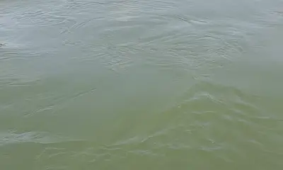 Arkansas Видео отчет 2