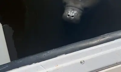 Boating with Captain Brad Hurd 