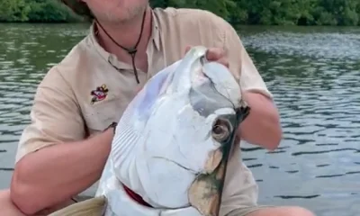 Carolina Report Video 0