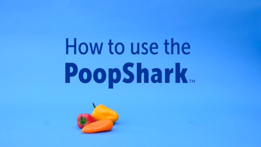 Play Video: Learn More About PoopShark From Our Team of Experts