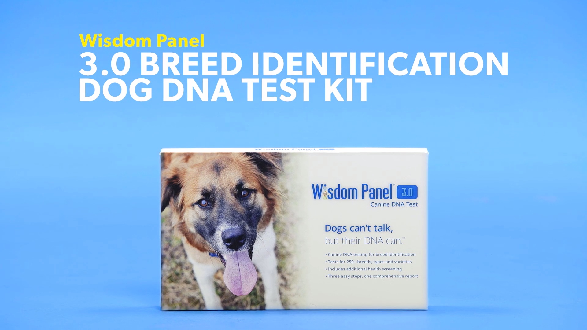 wisdom panel health breed & health identification dog dna test kit