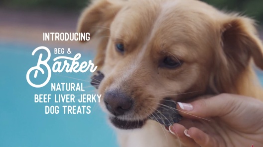 Play Video: Learn More About Beg & Barker From Our Team of Experts
