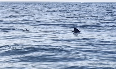 kept us on the Fish