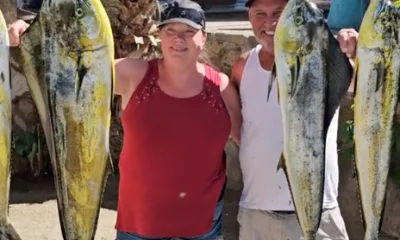 San Jose del Cabo Report Video 0