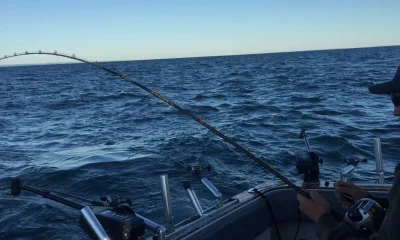 St. Catharines Report Video 0