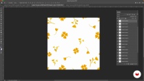 Lesson image
