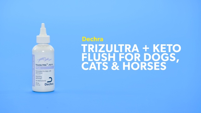 Trizultra Keto Flush For Dogs Cats Horses Free Shipping Chewy