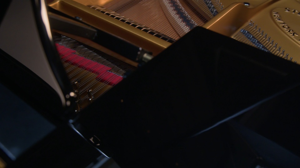 2024 Steinway Grand D Spirio | r