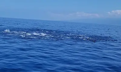 October fishing trip