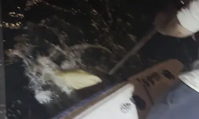 Key Biscayne Video Report 1