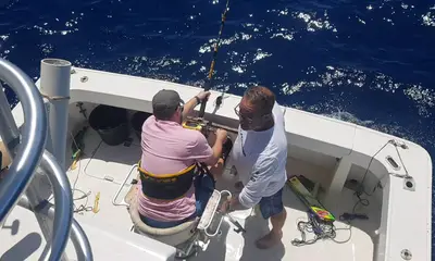 Faro Report Video 0