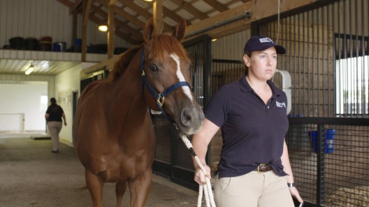 Play Video: Learn More About Kentucky Equine Research From Our Team of Experts