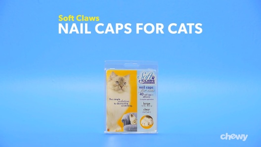 SOFT CLAWS Nail Caps for Kittens, 40 Count, Kitten, Clear 