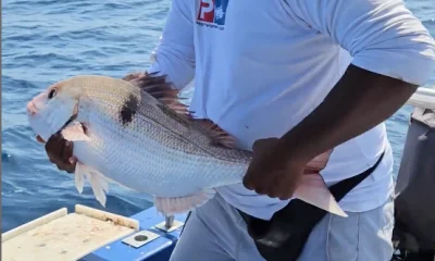 Durban Report Video 0