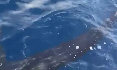 Key West Report Video 0