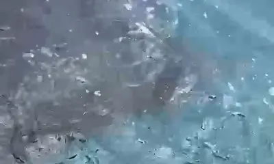 Quepos Bericht Video 0