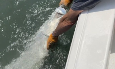 Jacksonville Report Video 2