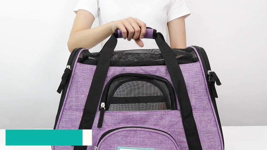 PETAMI Premium Airline Approved Soft-Sided Dog & Cat Travel