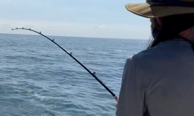 Lorain Report Video 0