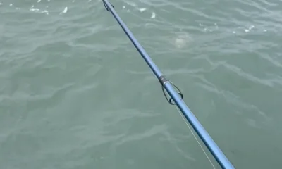 Oak Creek Report Video 0