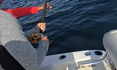 Full day Bottom fishing