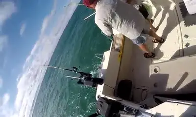 Mexico Report Video 0