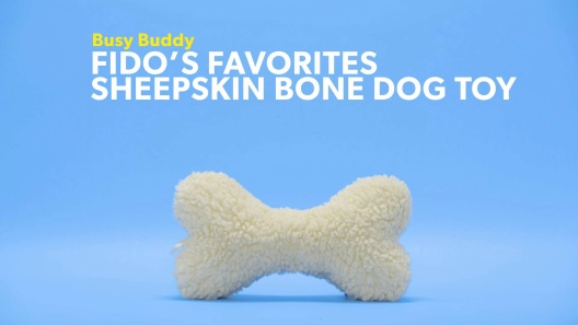 PetSafe® Busy Buddy® Cravin' Corncob Dog Toy – Petsense