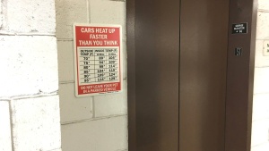 Don't Leave Pets In Cars Signs