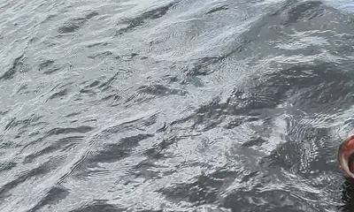 South Bay Report Video 0
