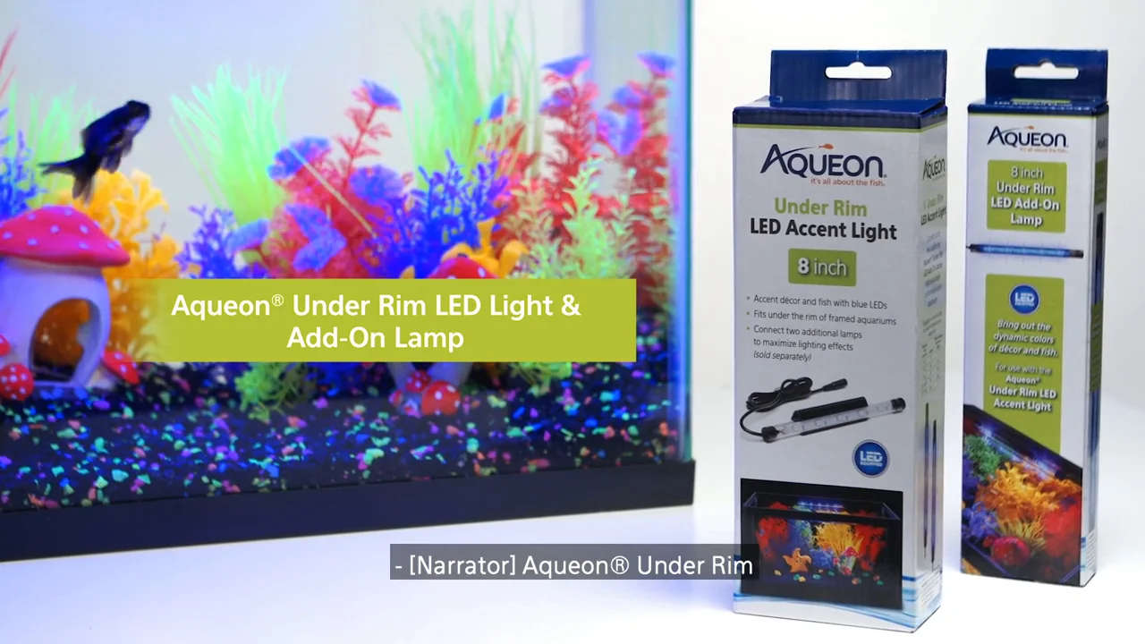 Aqueon Fluorescent Strip Light 24 Inch Shelly Lighting