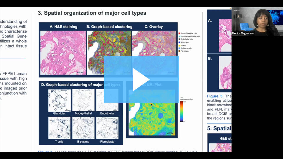 Hd Products Visium Hd Spatial Gene Expression 10x Genomics Hd Products Visium Hd Spatial Gene Expression 10x Genomics