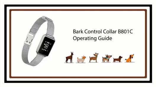 Petdiary Smart Bark Dog Bark Collar with Touch Screen, Small