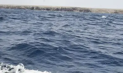 absolutly brilliant, the westher was amazing, the fishing wS great, i caught 6 fish, Racio, and Javier wete btilliant, felt totally safe.