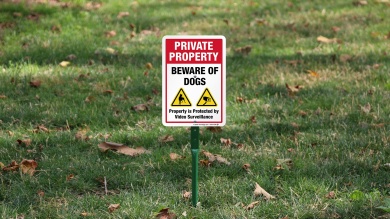 Beware Of Dogs Video Surveillance LawnBoss Sign