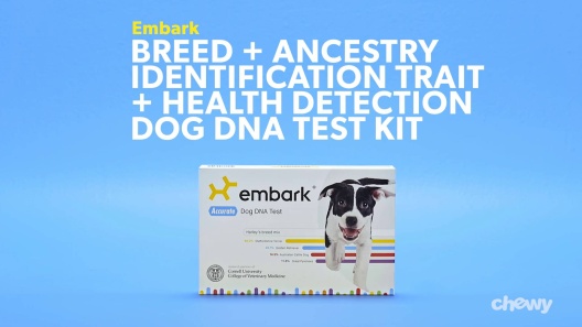 Play Video: Learn More About Embark From Our Team of Experts