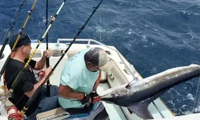 Cabo San Lucas Report Video 0