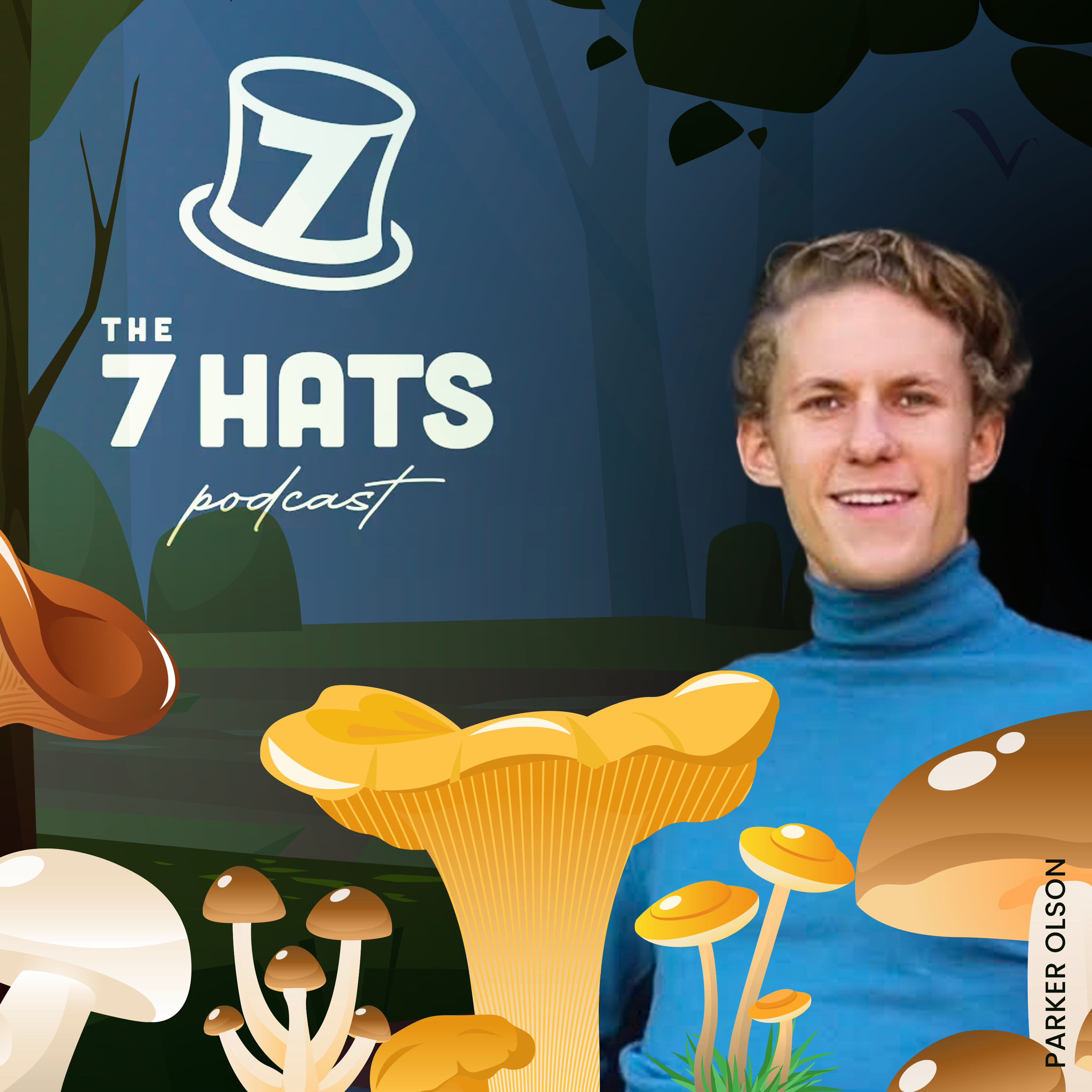 The 7 Hats