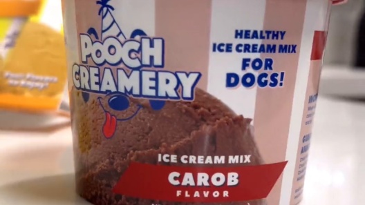 Play Video: Learn More About Pooch Creamery From Our Team of Experts