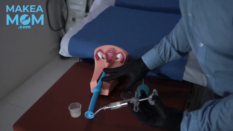 BabyMaker insemination kit video
