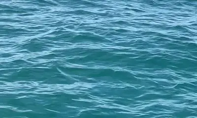 Highly Recommended \ud83d\udc4d