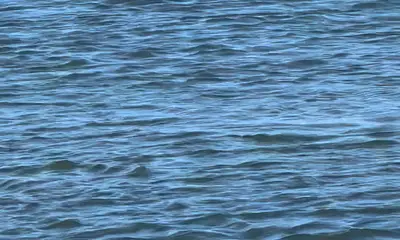 Lake Charles Report Video 1