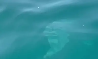 Baja California Sur Report Video 2