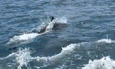 Amazing time on the water!