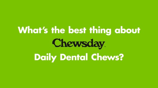 Play Video: Learn More About Chewsday From Our Team of Experts