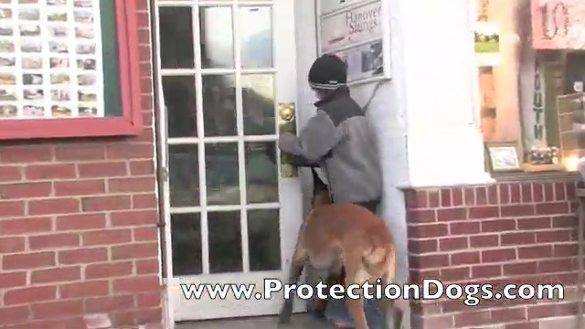 gazechimp Dog Handler Training Vest Bite Protective Dog Trainer