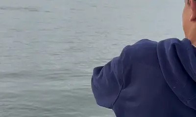 New York City Report Video 0