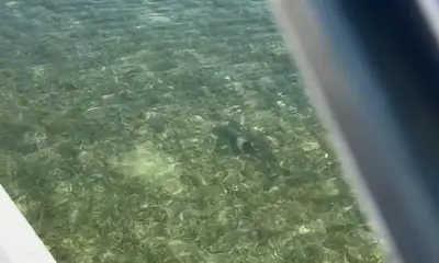 Perfect day on the water